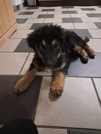Frieda